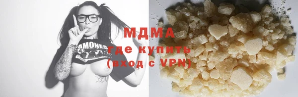 индика Алексин
