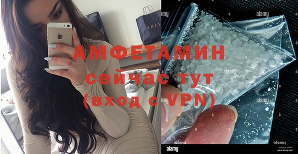 индика Алексин