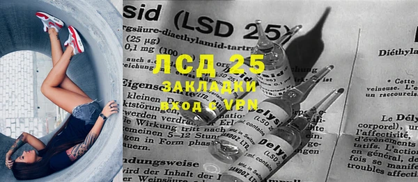 индика Алексин