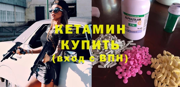 индика Алексин