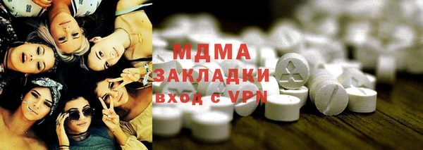 индика Алексин