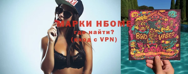 индика Алексин