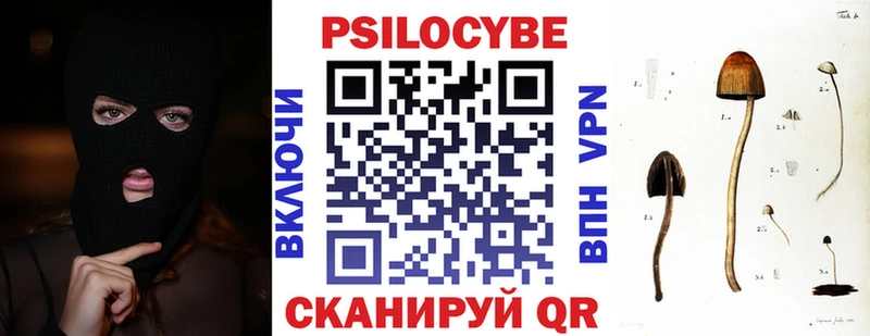 цена   Лесосибирск  Галлюциногенные грибы прущие грибы 